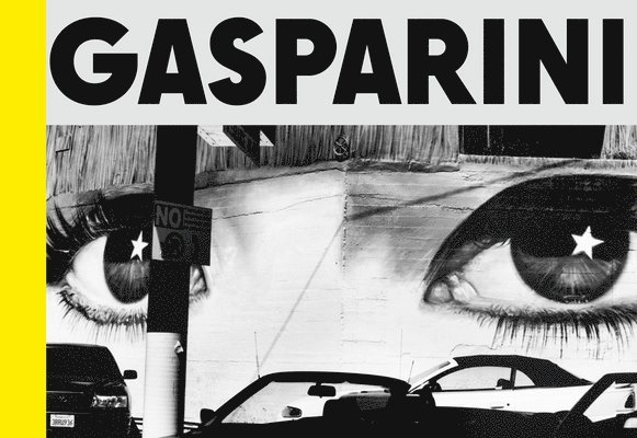 Gasparini: Field of Images, Inbunden