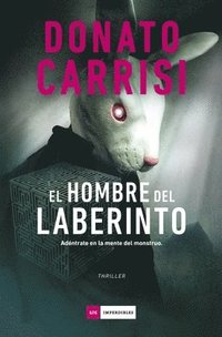 bokomslag Hombre del Laberinto, El