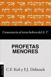 bokomslag Comentario al texto hebreo del Antiguo Testamento - Profetas Menores