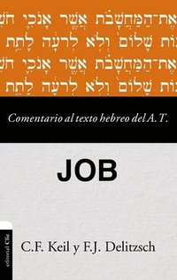 bokomslag Comentario al texto hebreo del Antiguo Testamento - Job