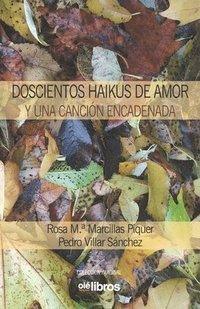 bokomslag Doscientos haikus de amor y una cancin encadenada