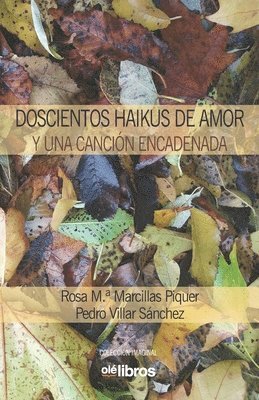 bokomslag Doscientos haikus de amor y una canción encadenada