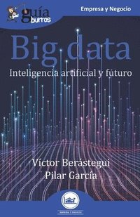 bokomslag GuiaBurros Big data