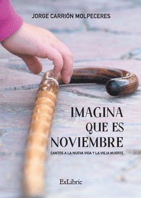 bokomslag Imagina que es noviembre