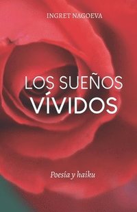 bokomslag sueños vívidos