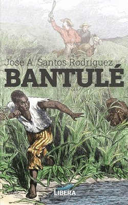 bokomslag Bantulé