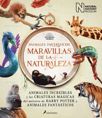 Animales Fantásticos Maravillas de la Naturaleza / Fantastic Animals, Wonders of Nature 1