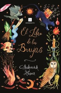 bokomslag Libro de Las Brujas, El