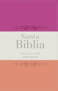 bokomslag Biblia Rvr 1960 Letra Grande Tamaño Manual Tricolor Fucsia Crema Melón Con Cierre E Índice (Bible Rvr 1960 Large Print Handsize Leatherlike Tricolor F