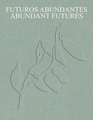 bokomslag Abundant Futures