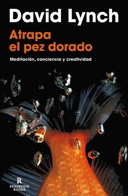 David Lynch - Atrapa El Pez Dorado / Catching the Big Fish, Häftad
