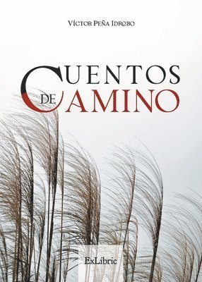 Cuentos de camino 1