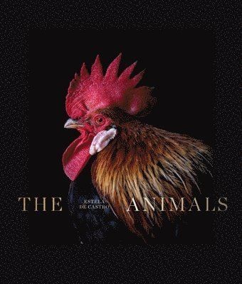 The Animals 1