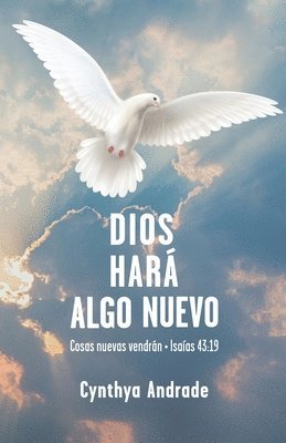 bokomslag Dios hará algo nuevo