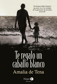 bokomslag Te Regalo Un Caballo Blanco (I Will Give You a White Horse - Spanish Edition)