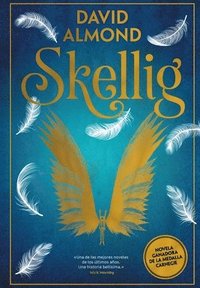 bokomslag Skellig