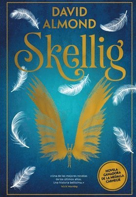 Skellig 1