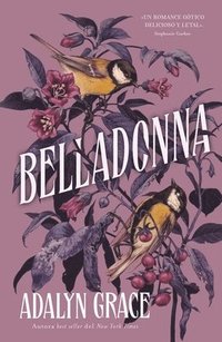 bokomslag Belladonna