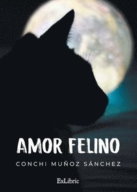 bokomslag Amor felino