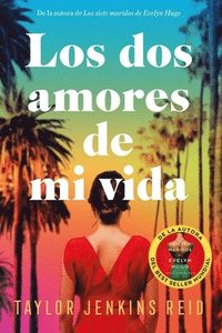 bokomslag Los dos amores de mi vida