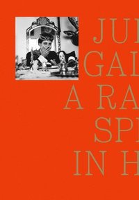 bokomslag Julio Galán