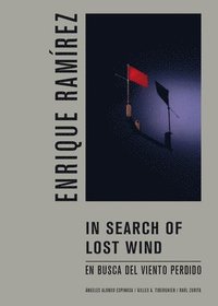 bokomslag In Search of Lost Wind