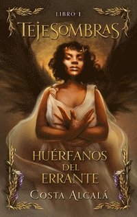 bokomslag Tejesombras 1. Huérfanos del Errante