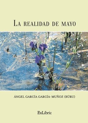 bokomslag La realidad de mayo