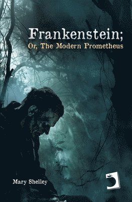bokomslag Frankenstein; or, The modern Prometheus