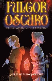 bokomslag El paladn y el ladrn (Fulgor Oscuro n1)