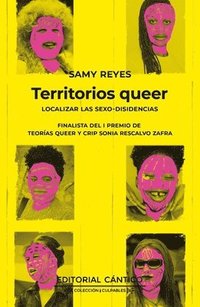 bokomslag Territorios Queer