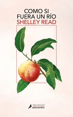 Shelley Read - Como Si Fuera Un Río / Go as a River, Häftad