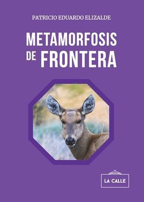 Patricio Eduardo Elizalde - Metamorfosis de frontera, Häftad. Tillgänglighet: Lägg i varukorg