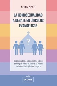 bokomslag La homosexualidad a debate en círculos evangélicos