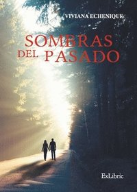 bokomslag Sombras del pasado