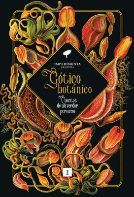 bokomslag Gótico Botánico