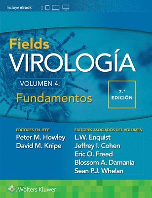 bokomslag Fields. Virologa. Volumen IV. Fundamentos