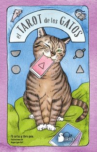 bokomslag El Tarot de Los Gatos