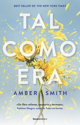 Amber Smith - Tal Como Era / The Way I Used to Be, Häftad