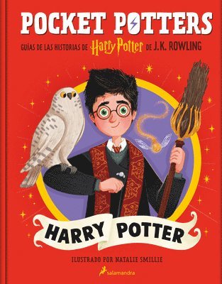 bokomslag Pocket Potters - Harry Potter (Spanish Edition)