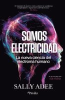 bokomslag Somos Electricidad