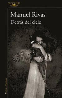 bokomslag Detras del cielo