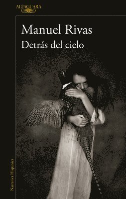 bokomslag Detras del cielo