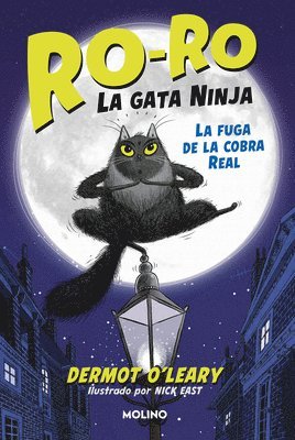 Dermot O'Leary - La Fuga de la Cobra Real / Toto the Ninja Cat and the Great Snake Escape, Inbunden