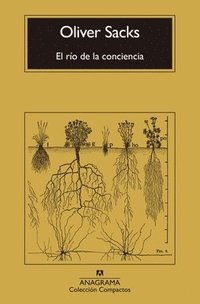 bokomslag El Rio de la Conciencia