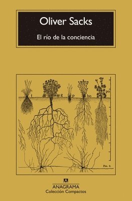 bokomslag El Rio de la Conciencia