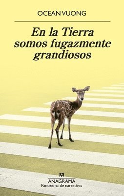 Ocean Vuong - En la tierra somos fugazmente grandiozos, Häftad