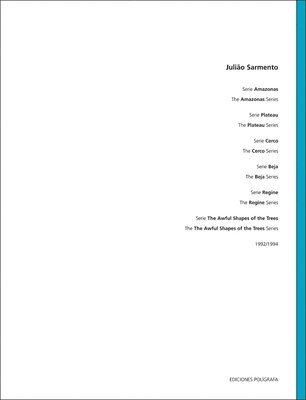 Julião Sarmento: Series Volume 3