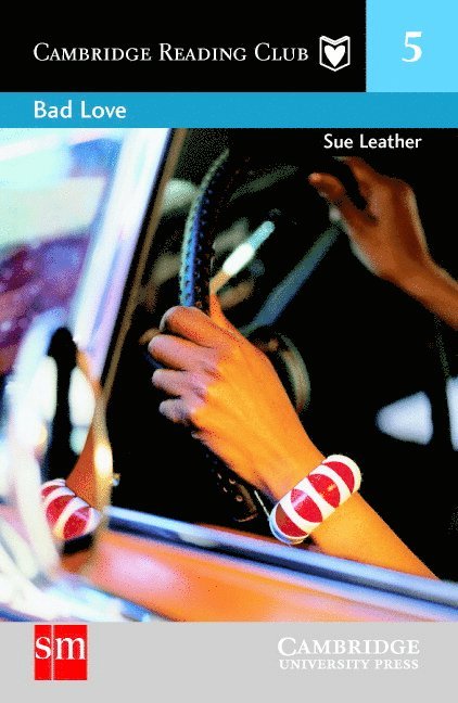 Sue Leather - BAD LOVE SM /E, Häftad