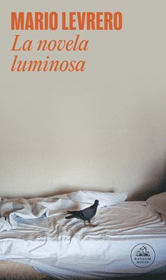 La Novela Luminosa / The Luminous Novel 1